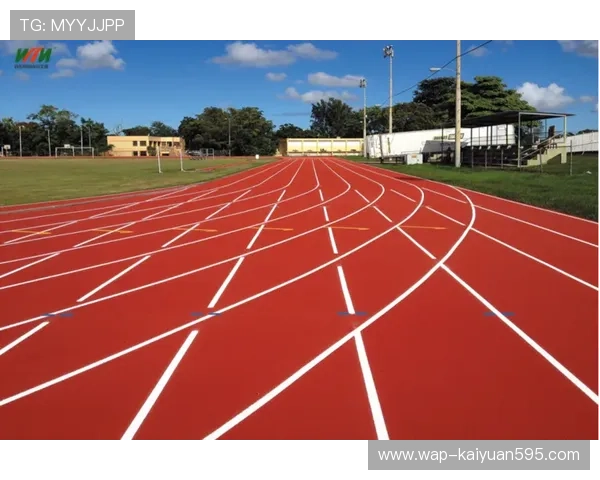 探索fb体育的多元内容生态打造专业体育资讯平台