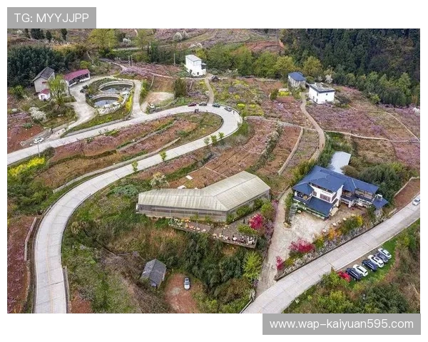 世外桃源娱乐城：为家庭提供温馨舒适的度假环境与丰富多彩的娱乐活动