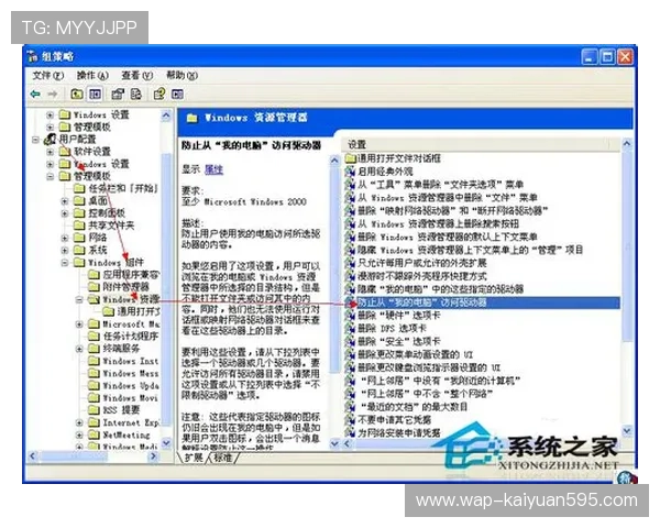 开元3359官网下载常见问题解答，解决用户在下载过程中遇到的疑问
